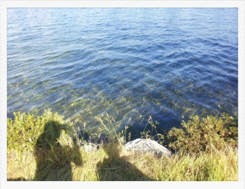 출근길의 단상.PNG