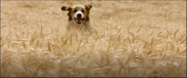 %EB%B2%A0%EC%9D%BC%EB%A6%AC%EC%96%B4%EA%B2%8C%EC%9D%B8_21.PNG?type=w773