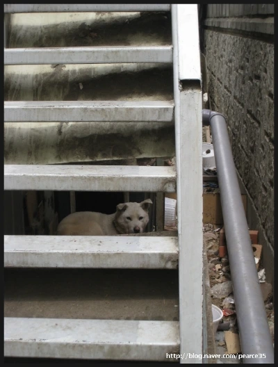 img_1486_pearce35.jpg?type=w2