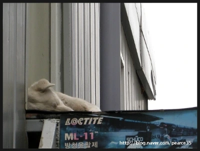 img_1489_pearce35.jpg?type=w2