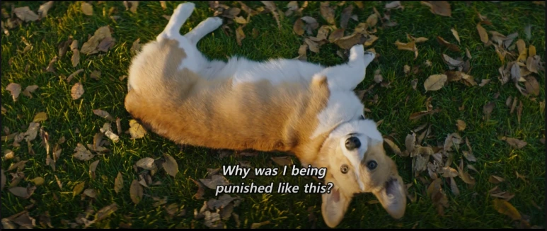 %EB%B2%A0%EC%9D%BC%EB%A6%AC%EC%96%B4%EA%B2%8C%EC%9D%B8_15.PNG?type=w773