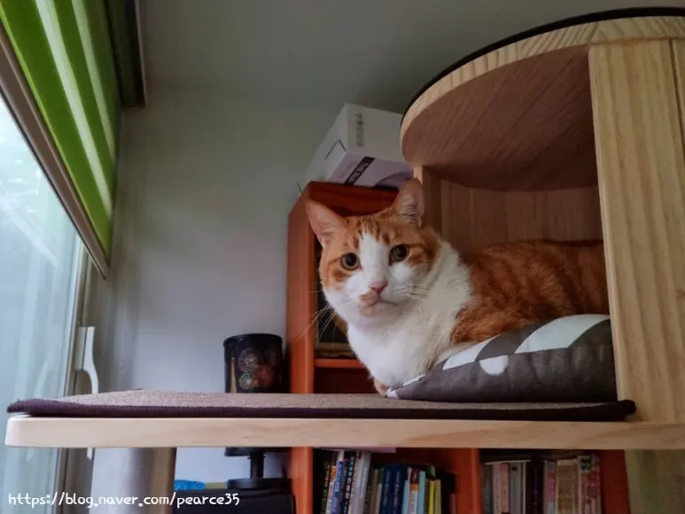 SE-8f0a2364-c499-11ed-b333-e5a75bde7ffd.jpg?type=w773