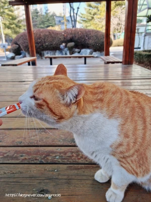 SE-d6c0bbf0-a0d4-4889-b000-57c656f9e156.jpg?type=w773