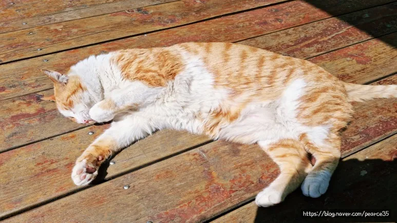 SE-19462477-c0c8-498c-b443-770e81dbc1b3.jpg?type=w773