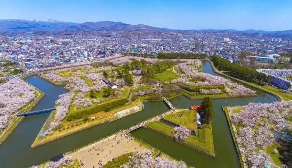 licensed-image_(3).jpg?type=w580