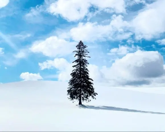 %EB%B9%84%EC%97%90%EC%9D%B4__%EA%B2%A8%EC%9A%B8_%EB%8C%80%ED%91%9C%EC%82%AC%EC%A7%84_1_.jpeg?type=w580