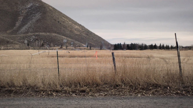 common.jpg?type=w773