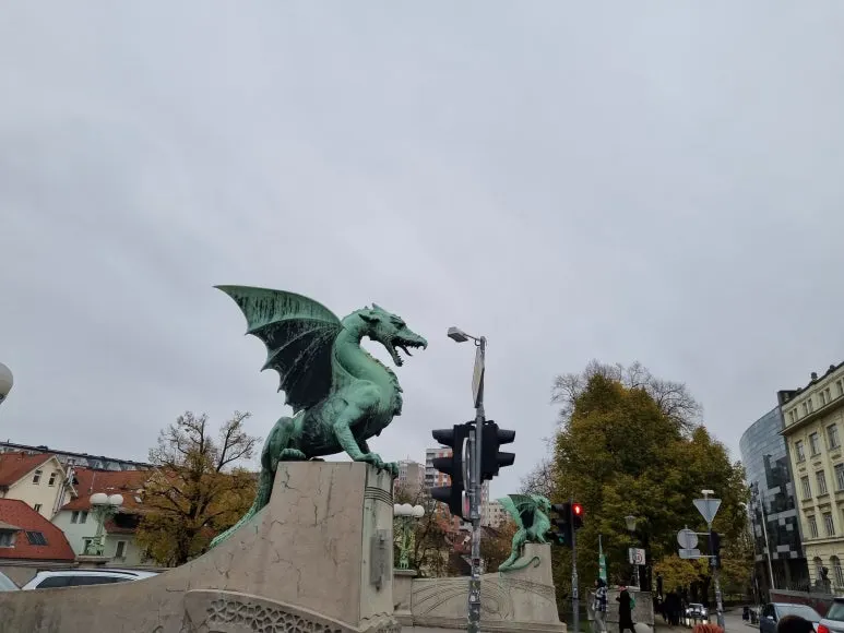 20221119_132325.jpg?type=w773