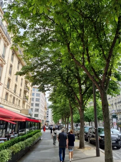 SE-1591ceb9-fc76-49c5-89f5-858b5d4276a6.jpg?type=w386