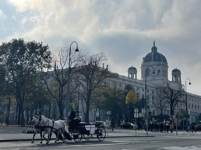 KakaoTalk_20231213_111410592_14.jpg?type=w773