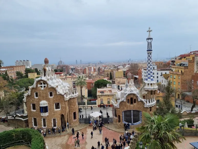 20220319_113951.jpg?type=w773