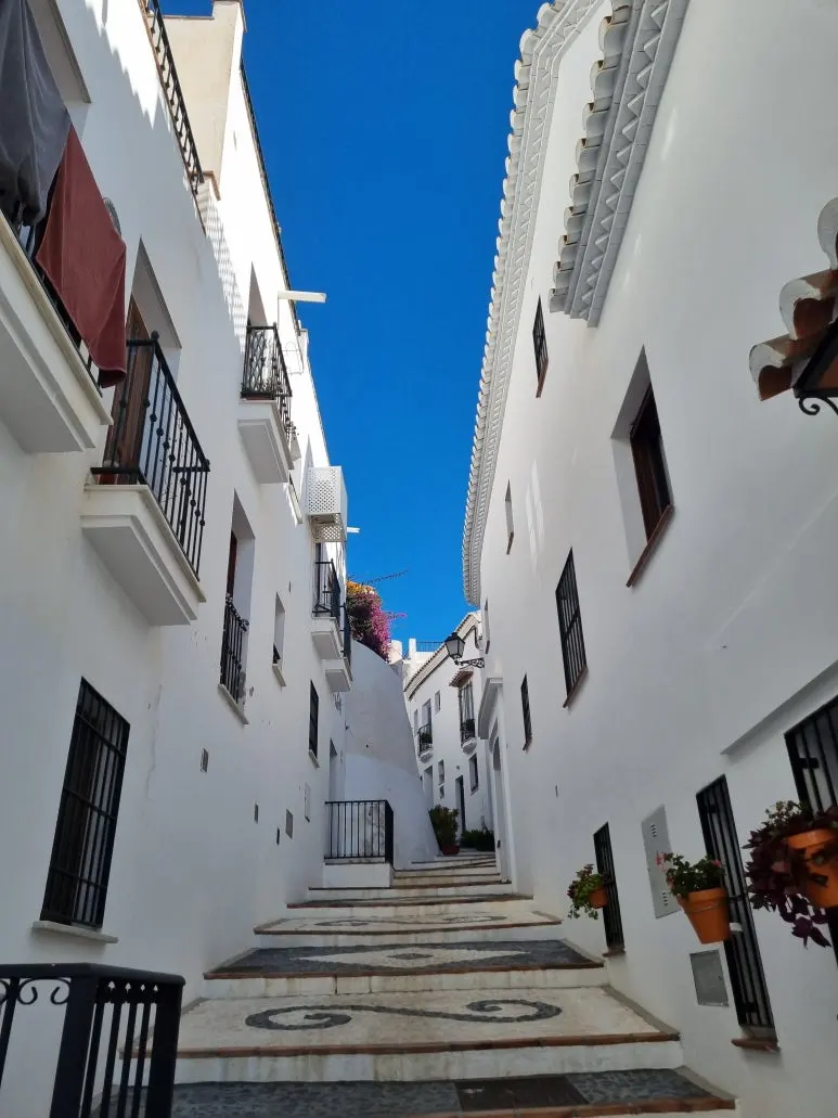 %ED%94%84%EB%A6%AC%EC%A7%88%EB%A6%AC%EC%95%84_%EA%B3%A8%EB%AA%A9%EA%B8%B8.jpg?type=w773