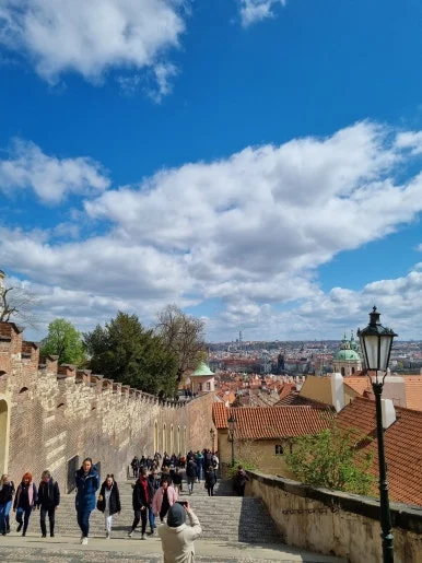 20220416_133218.jpg?type=w386