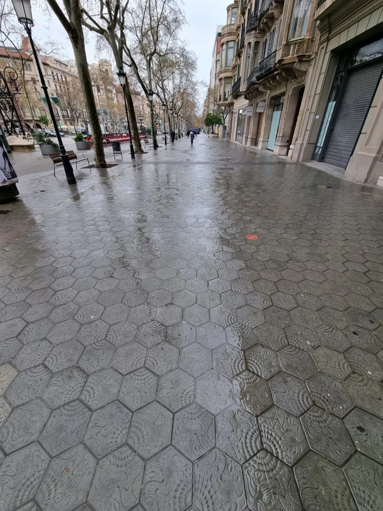 20220319_091450.jpg?type=w773