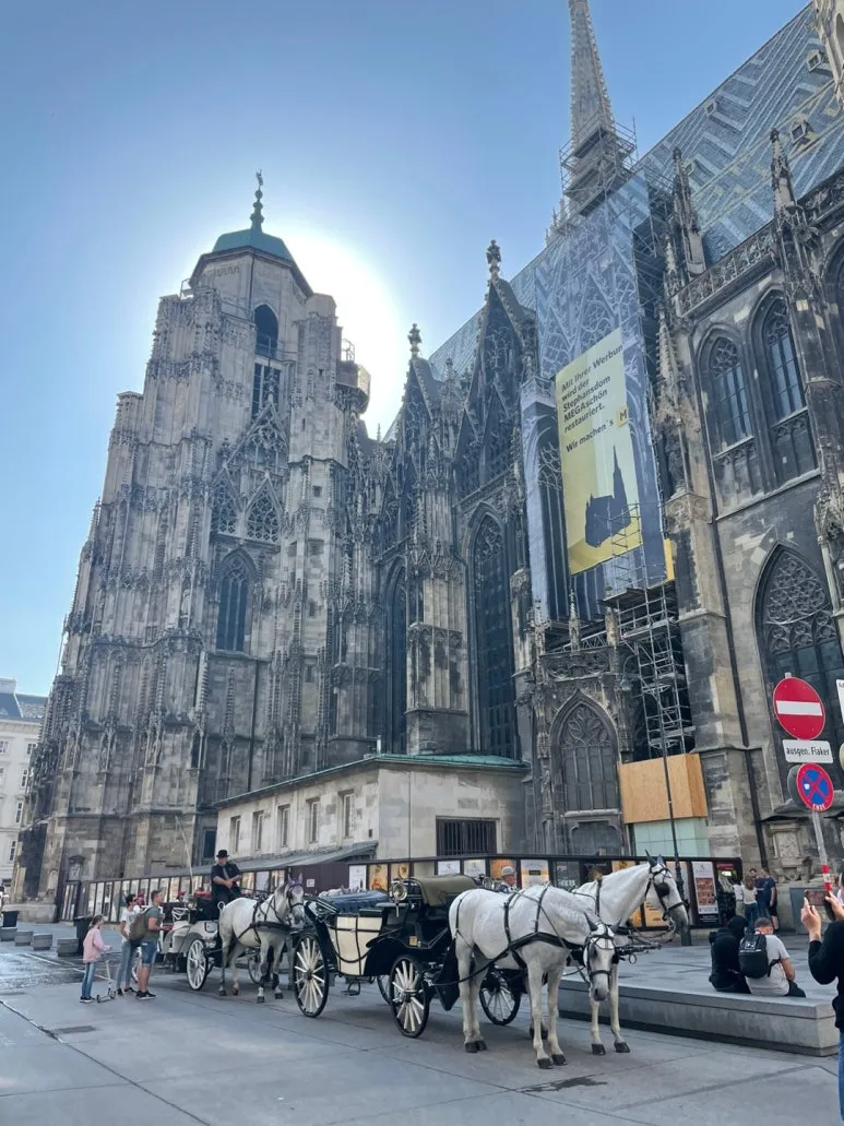 KakaoTalk_20231213_104643396_01_(1).jpg?type=w773