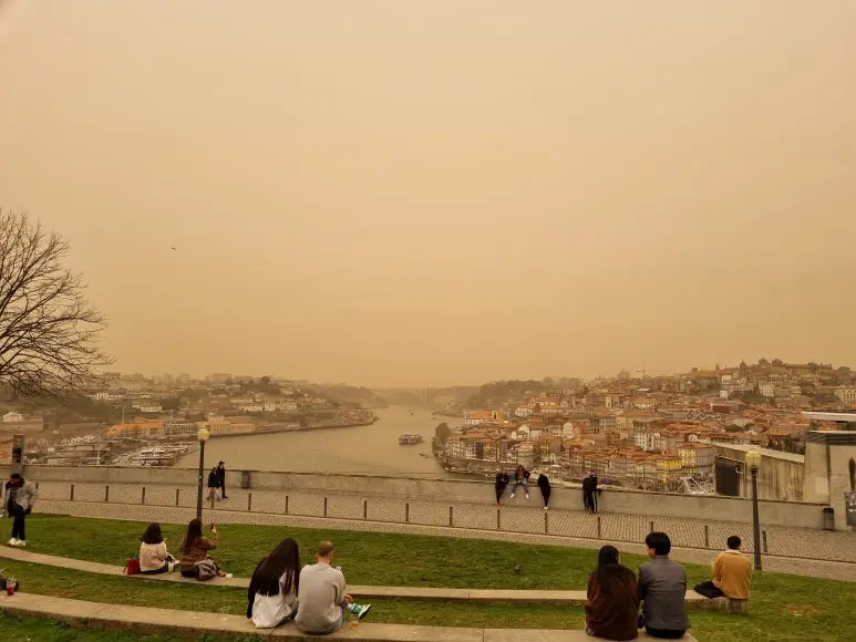 %EB%AA%A8%EB%A3%A8.jpg?type=w773