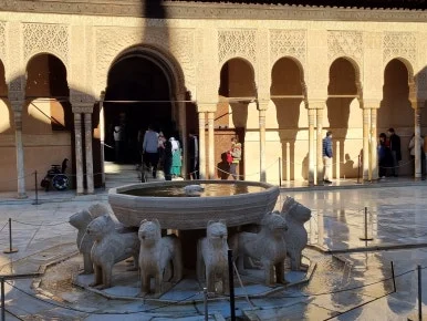 12%EC%82%AC%EC%9E%90_%EA%B7%BC%EA%B1%B0%EB%A6%AC.jpg?type=w386