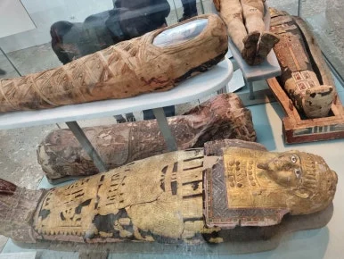 20220509_162211.jpg?type=w386