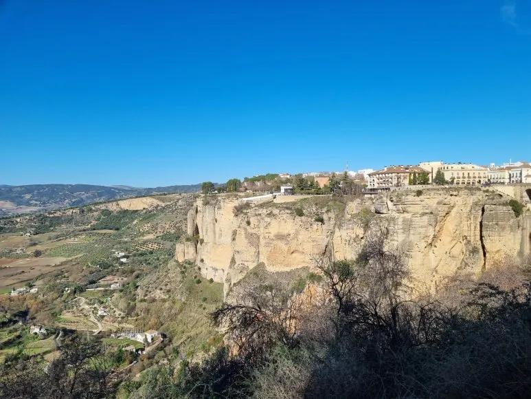 %EB%A1%A0%EB%8B%A4_%ED%92%8D%EA%B2%BD_1.jpg?type=w773