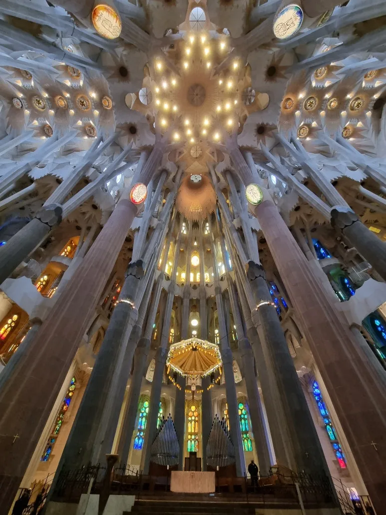 20220319_145222.jpg?type=w773