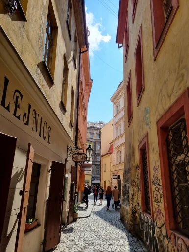 20220415_144202.jpg?type=w386