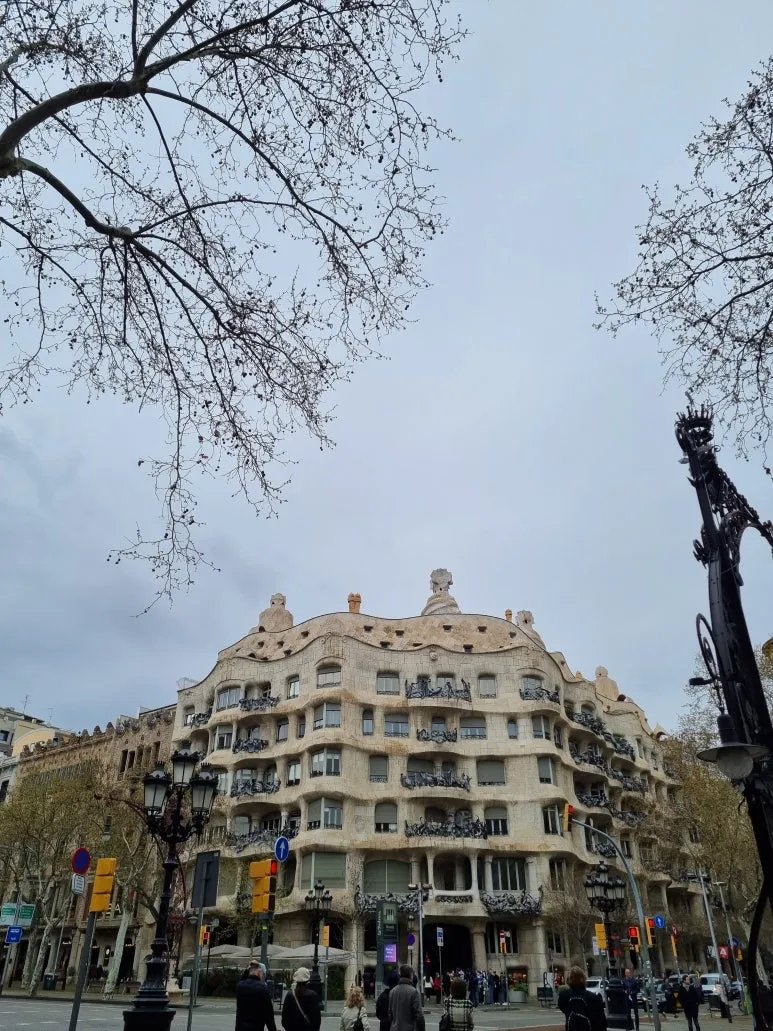 20220319_101127.jpg?type=w773