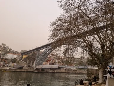 %EB%8F%99%EB%A3%A8%EC%9D%B4%EC%8A%A42.jpg?type=w386