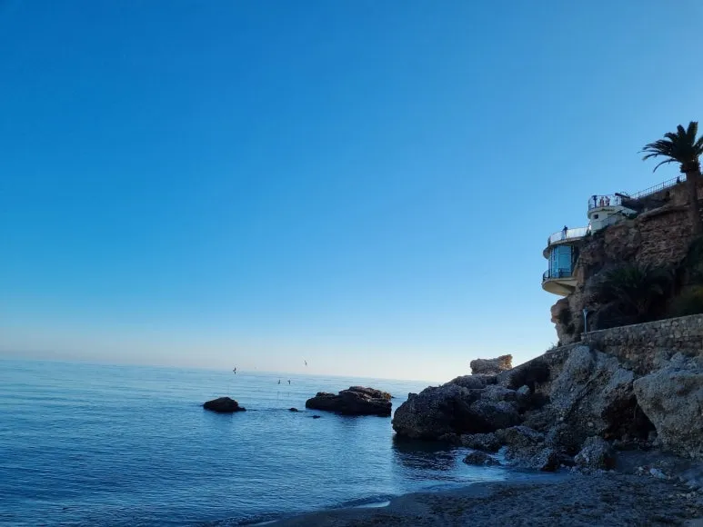 20221224_161448.jpg?type=w773