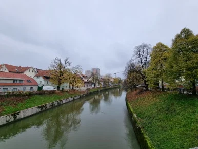 20221119_124657.jpg?type=w386