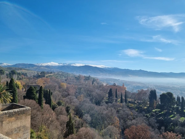 SE-a0a9724e-8138-4832-ac8f-5f990c99713a.jpg?type=w773