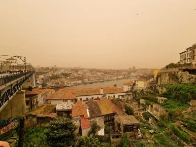 %EB%8B%A4%EB%A6%AC3.jpg?type=w386