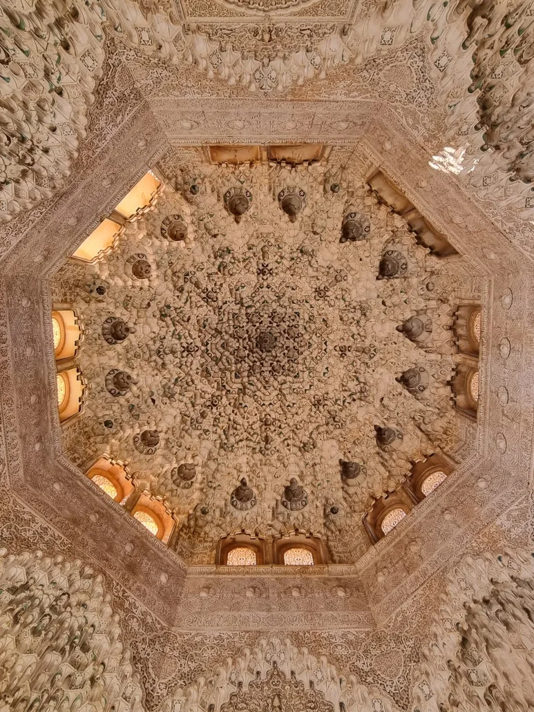 20221223_130115.jpg?type=w773