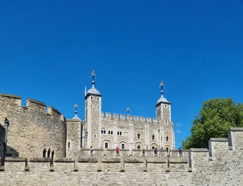 20220508_135725.jpg?type=w773