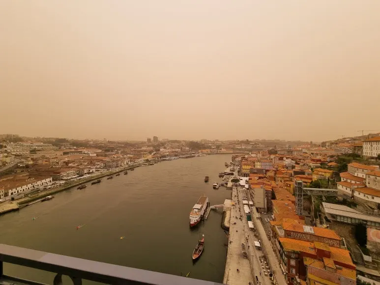 %EB%8B%A4%EB%A6%AC2.jpg?type=w773