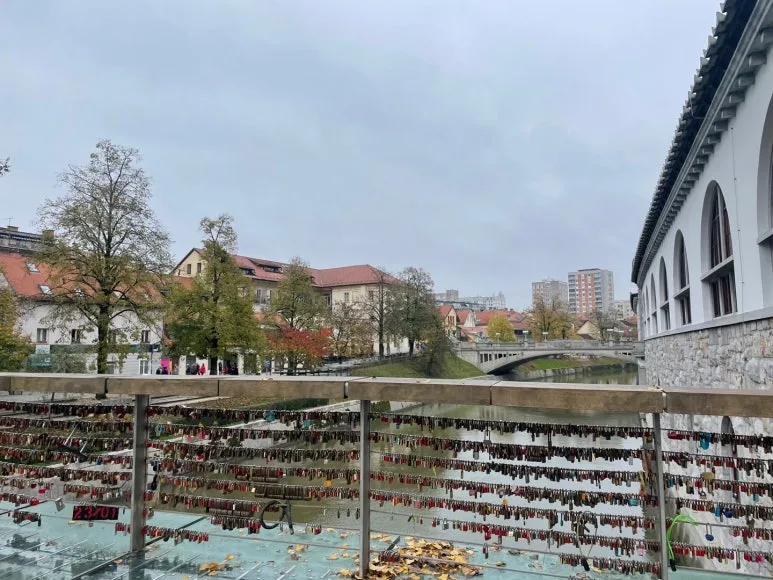 KakaoTalk_20240114_193726751_05.jpg?type=w773