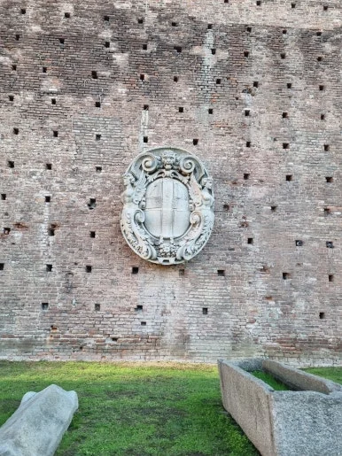 20221123_092033.jpg?type=w386