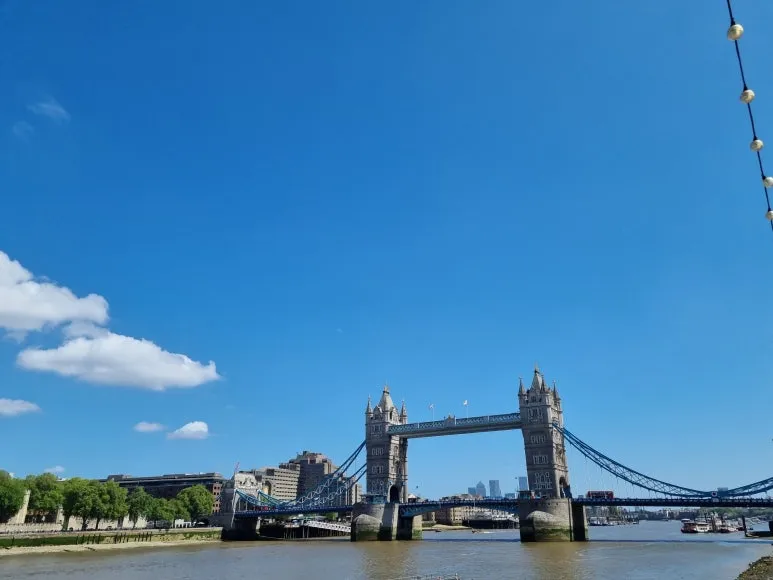 20220508_130748.jpg?type=w773