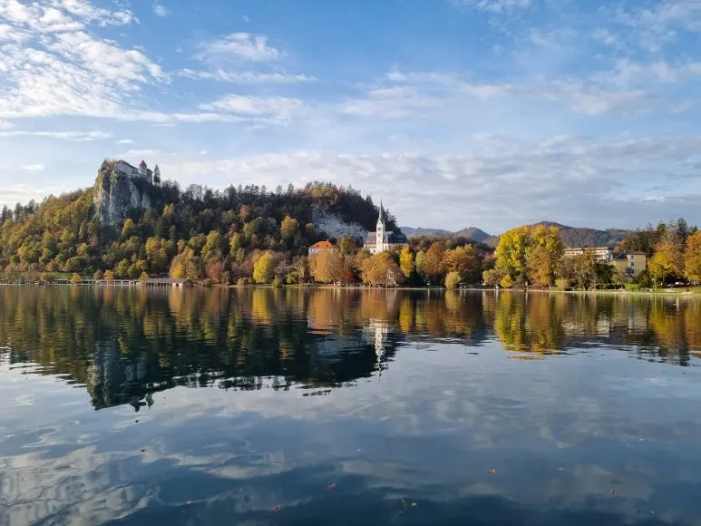 %EB%B8%94%EB%A0%88%EB%93%9C_%ED%98%B8%EC%88%981.jpg?type=w773