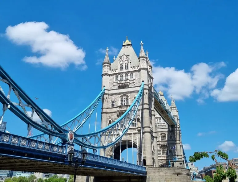 SE-0881ec87-8a44-431f-9159-6c710aed3900.jpg?type=w773