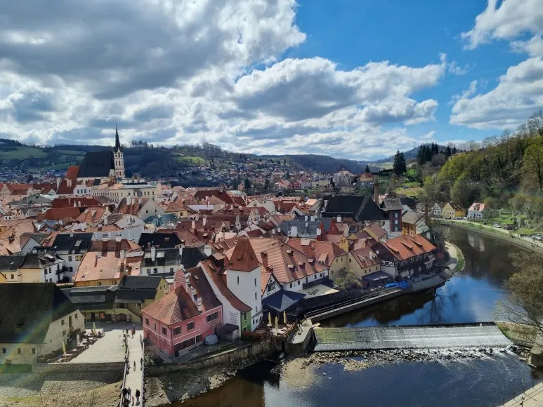 20220417_113737.jpg?type=w773