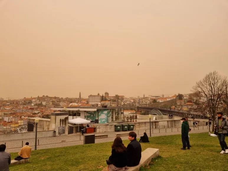 %EB%AA%A8%EB%A3%A82.jpg?type=w773