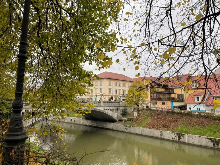 KakaoTalk_20240114_193726751.jpg?type=w773