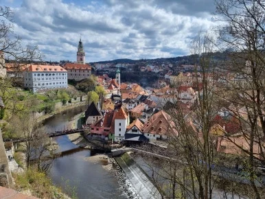 20220417_113031.jpg?type=w386