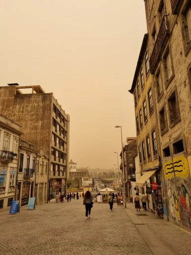 %EB%8B%A4%EB%A6%AC4.jpg?type=w386