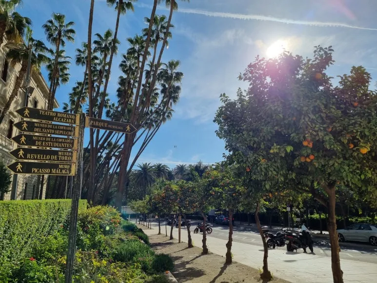 %EB%A7%90%EB%9D%BC%EA%B0%80%ED%8C%8C%ED%81%AC1.jpg?type=w773