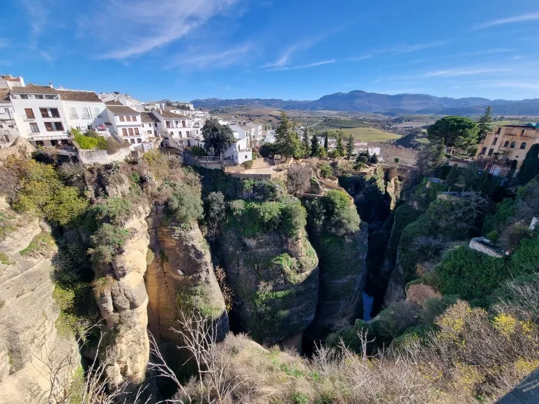 %EB%A1%A0%EB%8B%A4_%ED%92%8D%EA%B2%BD3.jpg?type=w773