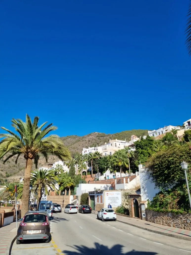 %ED%94%84%EB%A6%AC%EC%A7%88%EB%A6%AC%EC%95%84_%EC%95%BC%EC%9E%90%EC%88%98.jpg?type=w773