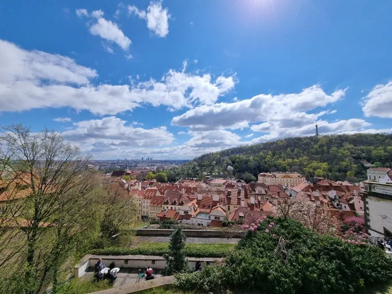 20220416_133114.jpg?type=w773