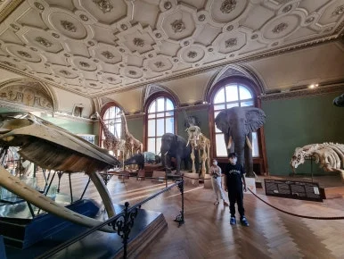 20210925_171531.jpg?type=w386