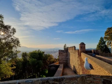 20221225_170938.jpg?type=w386